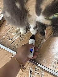 Heusom Silent Groom Pro Pet Nail Grinder Review: My Honest Experience Using It on My Cat