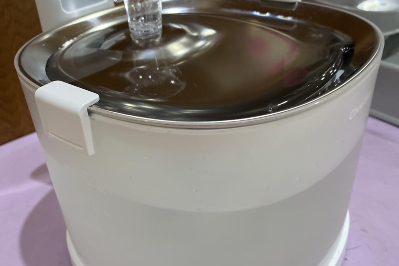 Cheerble Cat Fountain E1+ Review: My Honest Experience Using It With My Cat