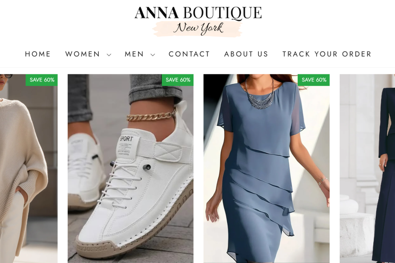 Should You Buy From Anna-Newyork.com? Honest Take