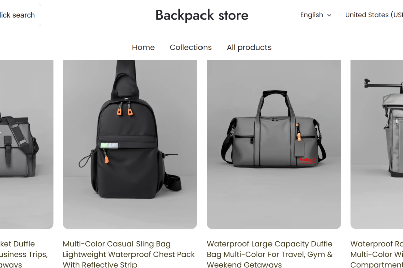 Baghubpro Review: Can You Trust This Backpack Store?