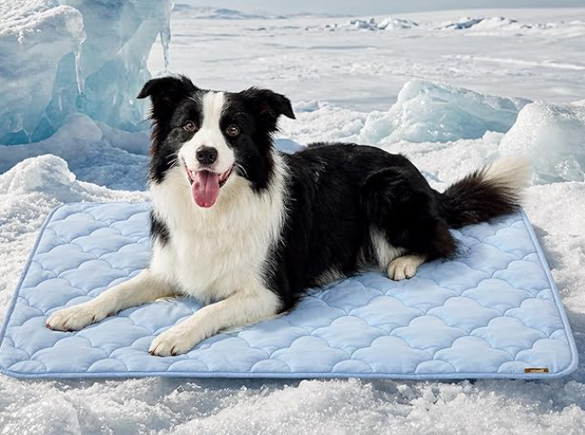 Paws Barn Cooling Mat Review: Does It Really Keep Dogs Cool?