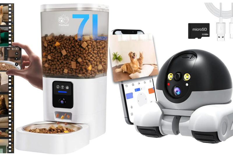 Lucklemonshore.com Review 2026: Scam or Legit Store for Cat Gadgets?